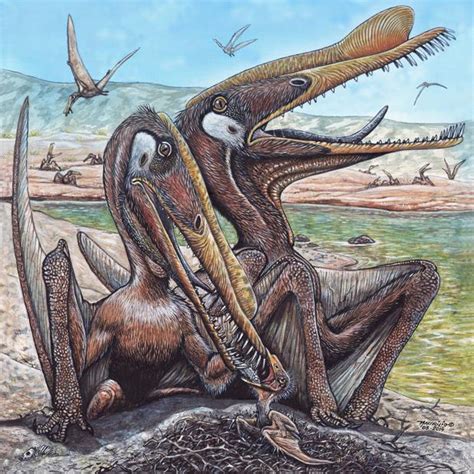 Los pterosaurios también cuidaban de sus crías