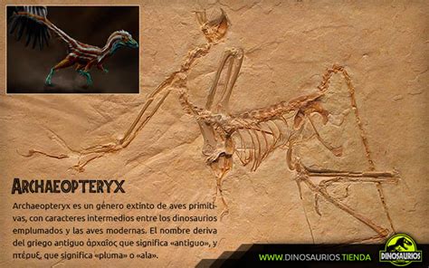 Los reptiles voladores del jurásico Pterosaurios y ...