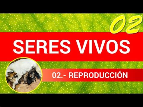 Los Seres Vivos 02: Reproducción   YouTube