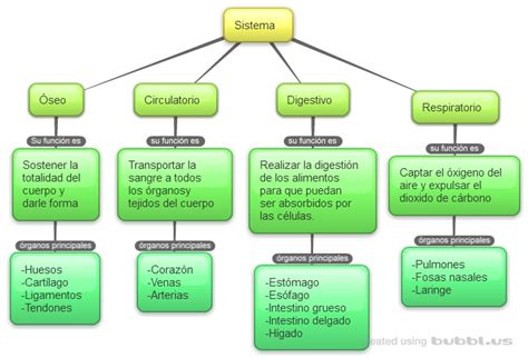 Los Sistemas del Cuerpo Humano: Mapa conceptual de los ...