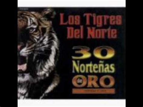 Los Tigres del Norte   Bajo el cielo de Morelia   YouTube