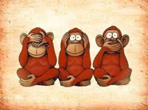 los tres monos sabios | Porque los animales importan
