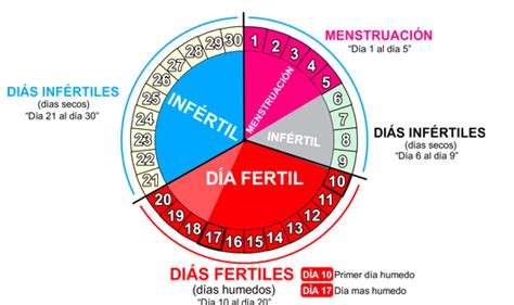 ¿Los últimos días del ciclo menstrual son fértiles ...