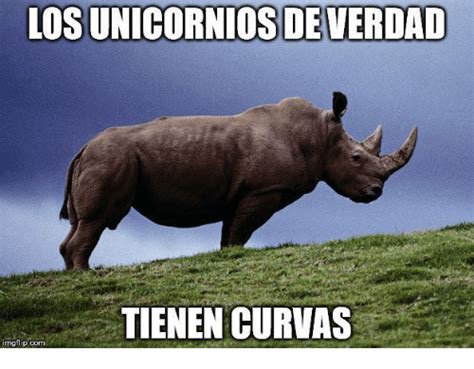 LOS UNICORNIOS DE VERDAD TIENEN CURVAS Imgflipcom | Meme ...