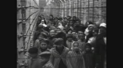 Los vascos en campos de concentración nazis | El mundo ...