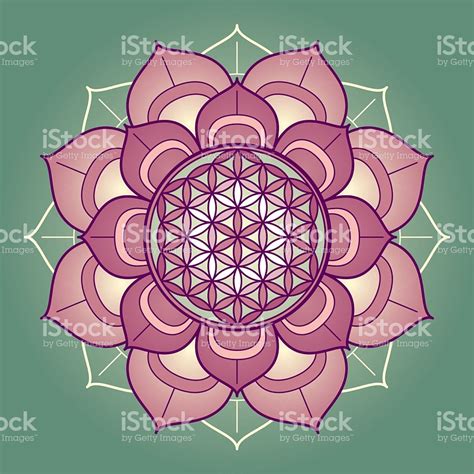 Lotus Mandala With Flower Of Life Stock Vector Art & More ...