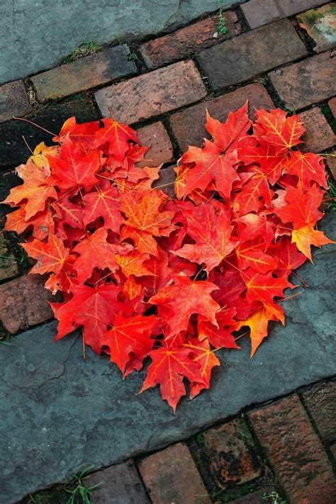 Love Autumn | Fall into Autumn | Pinterest | Otoño ...