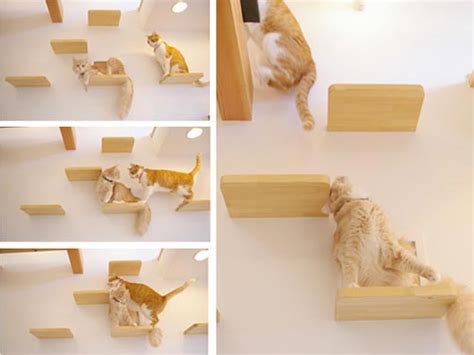 Lovely Cat House: A Playground for Cat – Design Swan