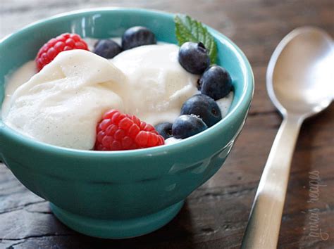 Low Fat Vanilla Bean Frozen Yogurt | Skinnytaste