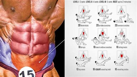 Lower Ab Workout   Learning the Basics of a Lower Ab Workout