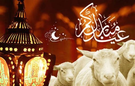 L’Aïd Al Adha, “La fête du Sacrifice” : sens, finalités ...