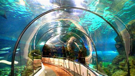 L’aquarium de Barcelone | Barcelona Home Blog
