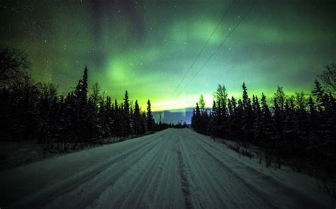 Luces del Norte, carretera, pinos, estrellas HD fondos de ...