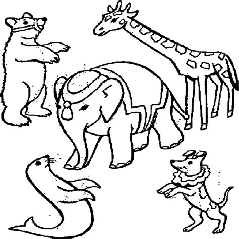 Lujo Dibujos De Animales Omnivoros Para Colorear E Imprimir
