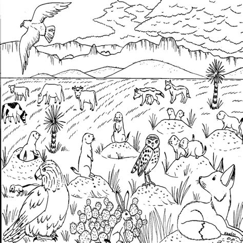 Lujo Dibujos Para Colorear De Paisajes Con Animales