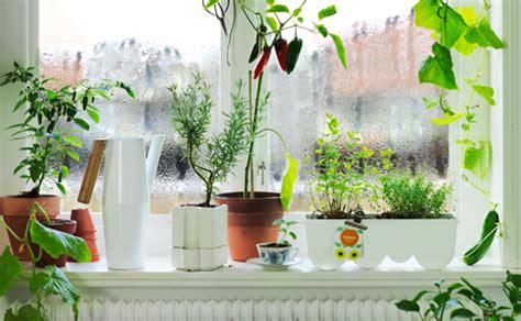 Macetas y soportes para tus plantas
