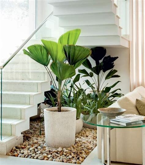 maceteros y plantas gigantes para decoracion de interiores ...