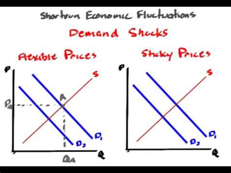 Macro   Shortrun Economic Fluctuations   YouTube