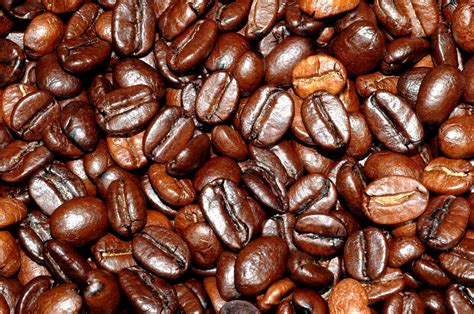 Madeintogo | Grains de café