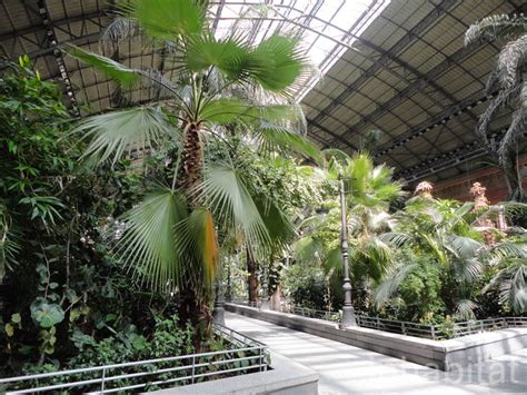 Madrid’s Atocha Station Doubles as an Indoor Botanical ...
