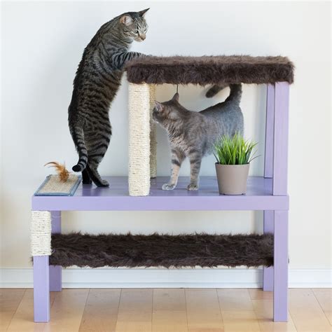 Make a Cat Tree Using Real Branches // My Amazing DIY Cat Tree