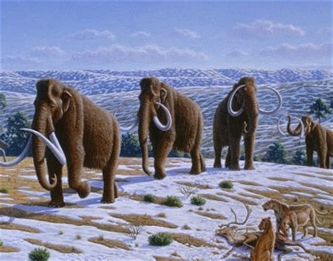 Mamuts | Causas de la extinción, especies más conocidas