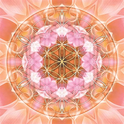 Mandala Flower of Life   Bing images