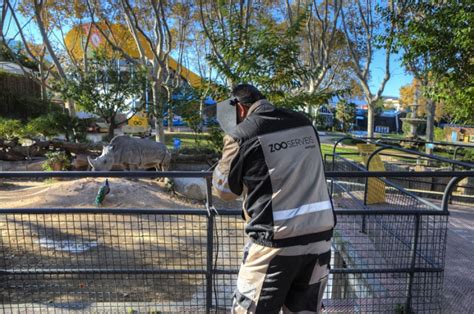 Mantenimiento del Parque Zoológico de Barcelona | Sorigué