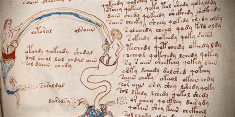 Manuscrito Voynich: Nuevos descubrimientos | DETECTIVES DE ...