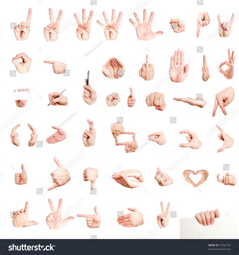 Many Different Hand Signs Isolated On White Stock Photo ...