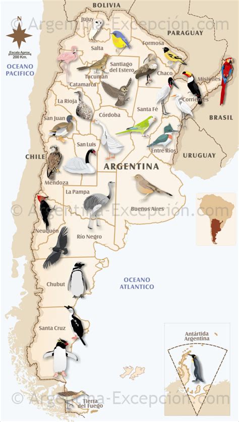 Mapa de Aves en Argentina