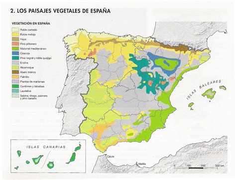 Mapa de la vegetación en España. | Mapa Andalucía ...