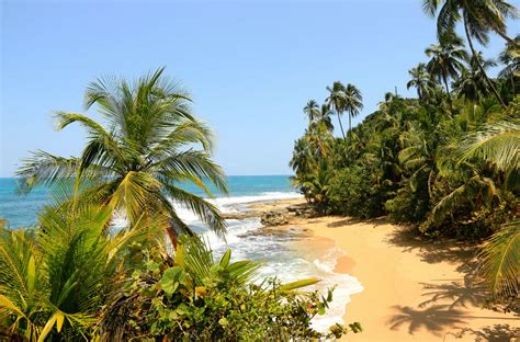 Mapa de las mejores playas de Costa Rica | Hoteles City ...