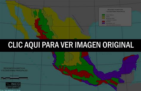 Mapa de las regiones naturales de México   Mapa de México