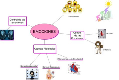 Mapas mentales y cuadros sinópticos sobre emociones ...