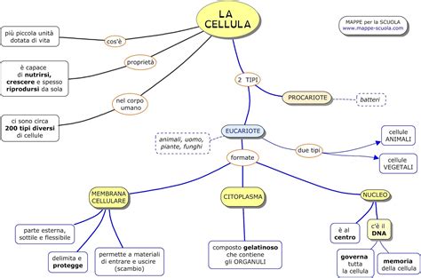 MAPPE per la SCUOLA: LA CELLULA, EUCARIOTA e PROCARIOTA