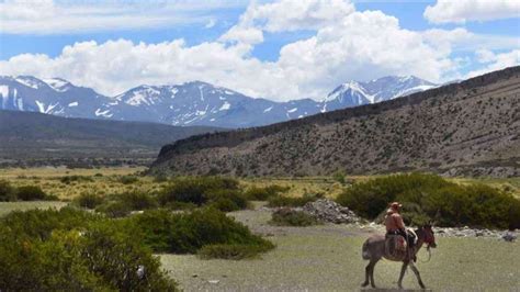Mapuches de Mendoza: quiénes son, cómo viven y cuáles son ...