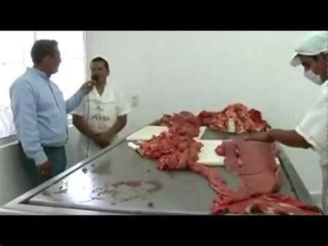 Maquina para cortar carne de res estilo arrachera | Doovi