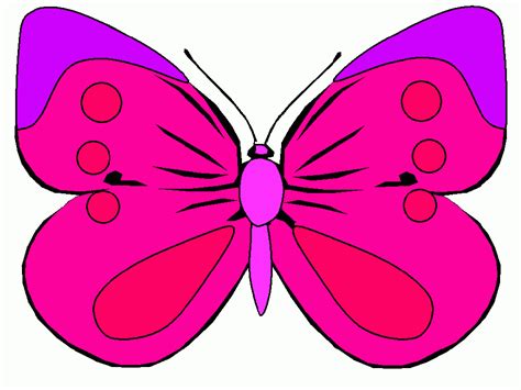 mariposa con co para colorear, mariposa con co para imprimir