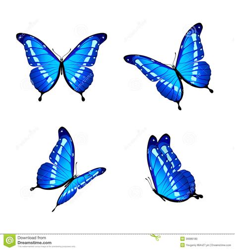 Mariposas Azules Ilustración del Vector   Imagen: 39986180