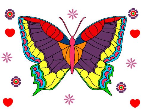 Mariposas De Colores Dibujos | www.pixshark.com   Images ...