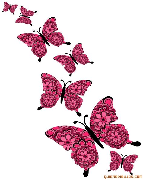Mariposas dibujadas a color   Imagui