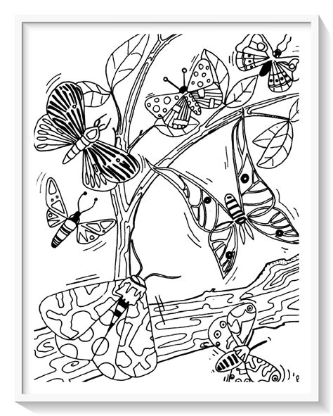 mariposas para colorear e imprimir gratis   Dibujo imagenes