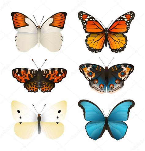Mariposas vector conjunto. Colorida mariposa plana ...