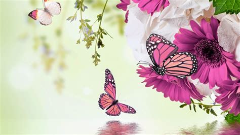 Mariposas y Flores de Colores | Fotos e Imágenes en FOTOBLOG X