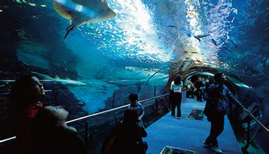 Maritime | Aquarium Palacio del Mar à DONOSTIA SAN ...