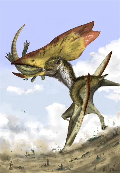 Mark Witton.com Blog: Pterosaurs: Natural History ...
