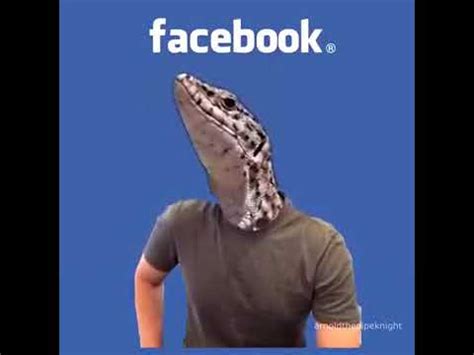 Mark Zuckerberg Lizard Meme   YouTube