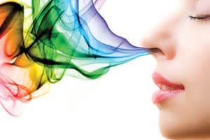 Marketing Olfativo: Que cheiro tem sua marca?