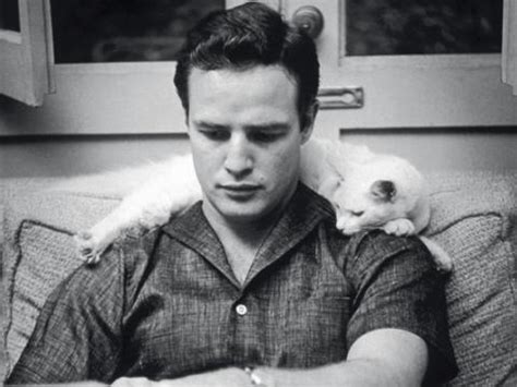 Marlon Brando cat | BOY & CO | Pinterest | Dr. who, Peanut ...